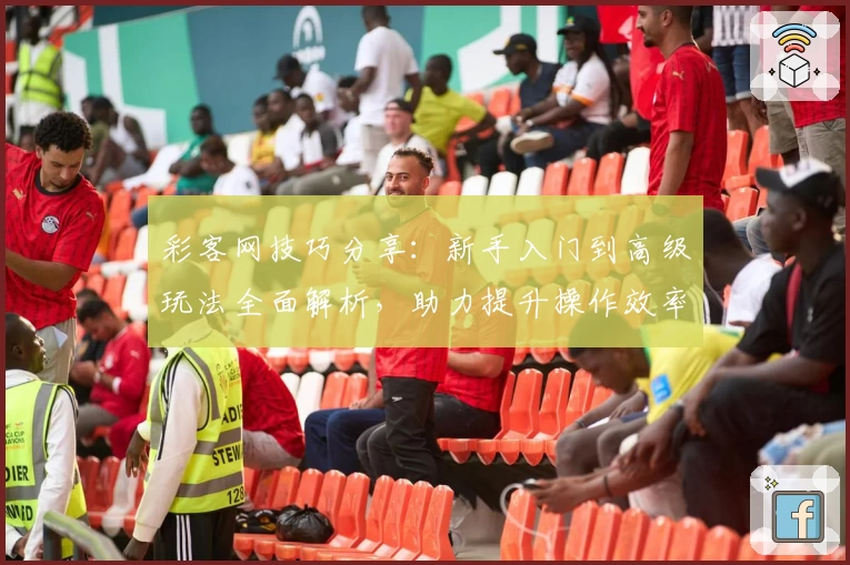 彩客网技巧分享：新手入门到高级玩法全面解析，助力提升操作效率