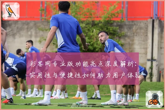 彩客网专业版功能亮点深度解析:实用性与便捷性如何助力用户体验升级