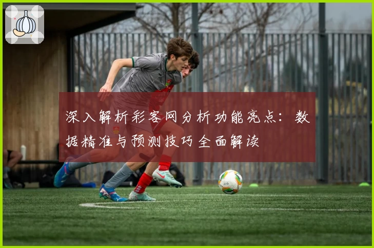 深入解析彩客网分析功能亮点：数据精准与预测技巧全面解读