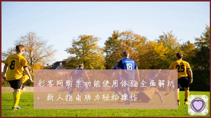 彩客网购票功能使用体验全面解析，新人指南助力轻松操作