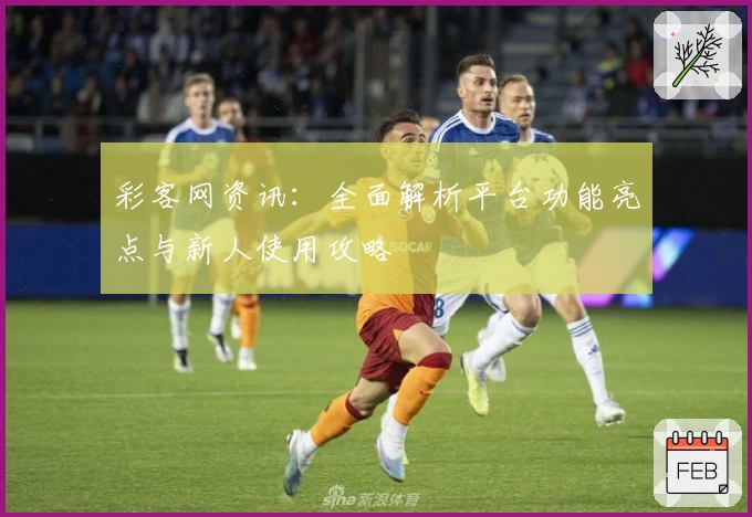 彩客网资讯：全面解析平台功能亮点与新人使用攻略