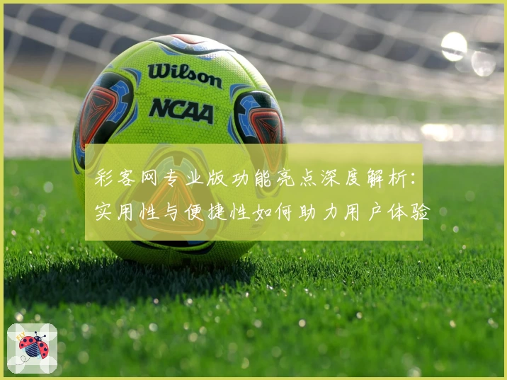 彩客网专业版功能亮点深度解析：实用性与便捷性如何助力用户体验升级