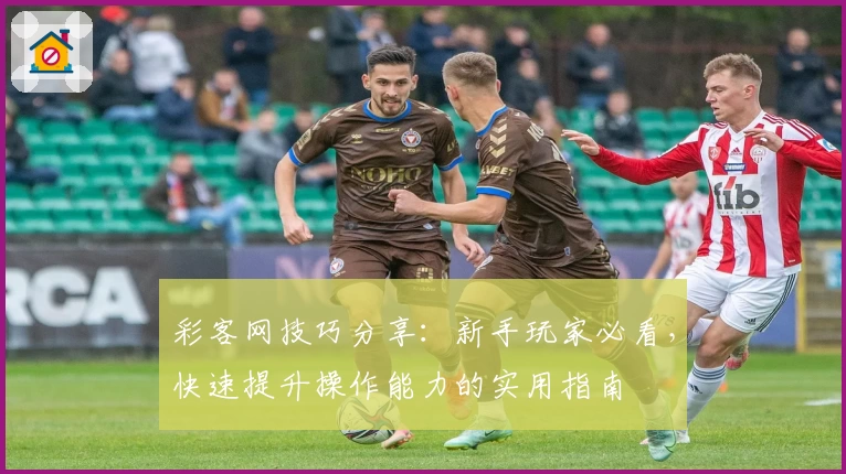 彩客网技巧分享：新手玩家必看，快速提升操作能力的实用指南