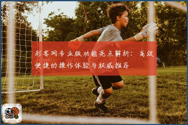 彩客网专业版功能亮点解析：高效便捷的操作体验与权威推荐