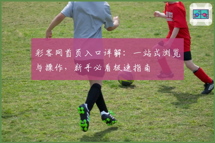 彩客网首页入口详解：一站式浏览与操作，新手必看极速指南