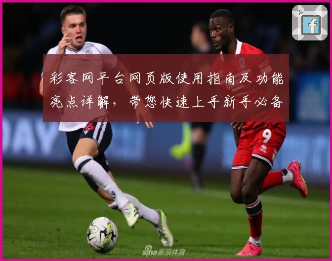 彩客网平台网页版使用指南及功能亮点详解，带您快速上手新手必备教程