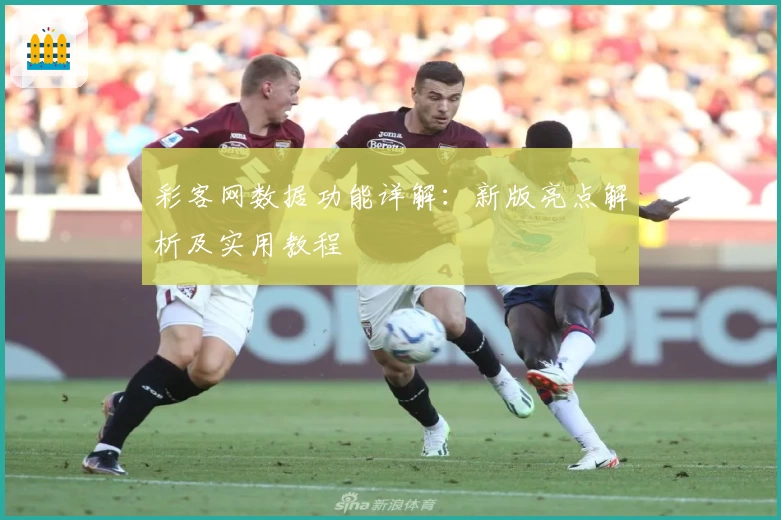 彩客网数据功能详解：新版亮点解析及实用教程