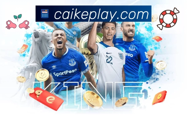 彩客网平台展示图